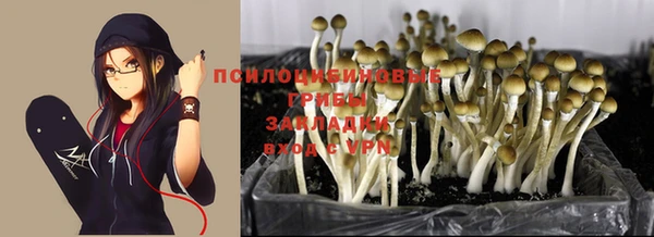 трава Баксан