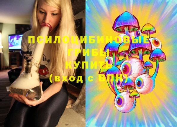 шишки Арсеньев