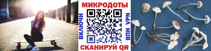 купить закладку  Бор  Псилоцибиновые грибы прущие грибы 